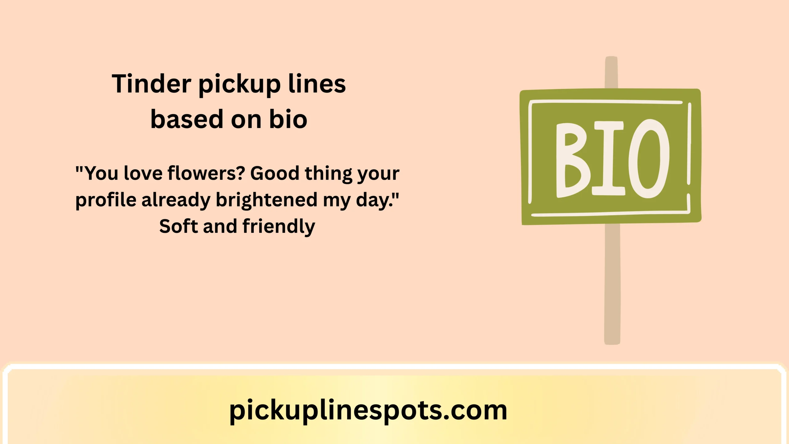 Tinder pickup lines based on bio
